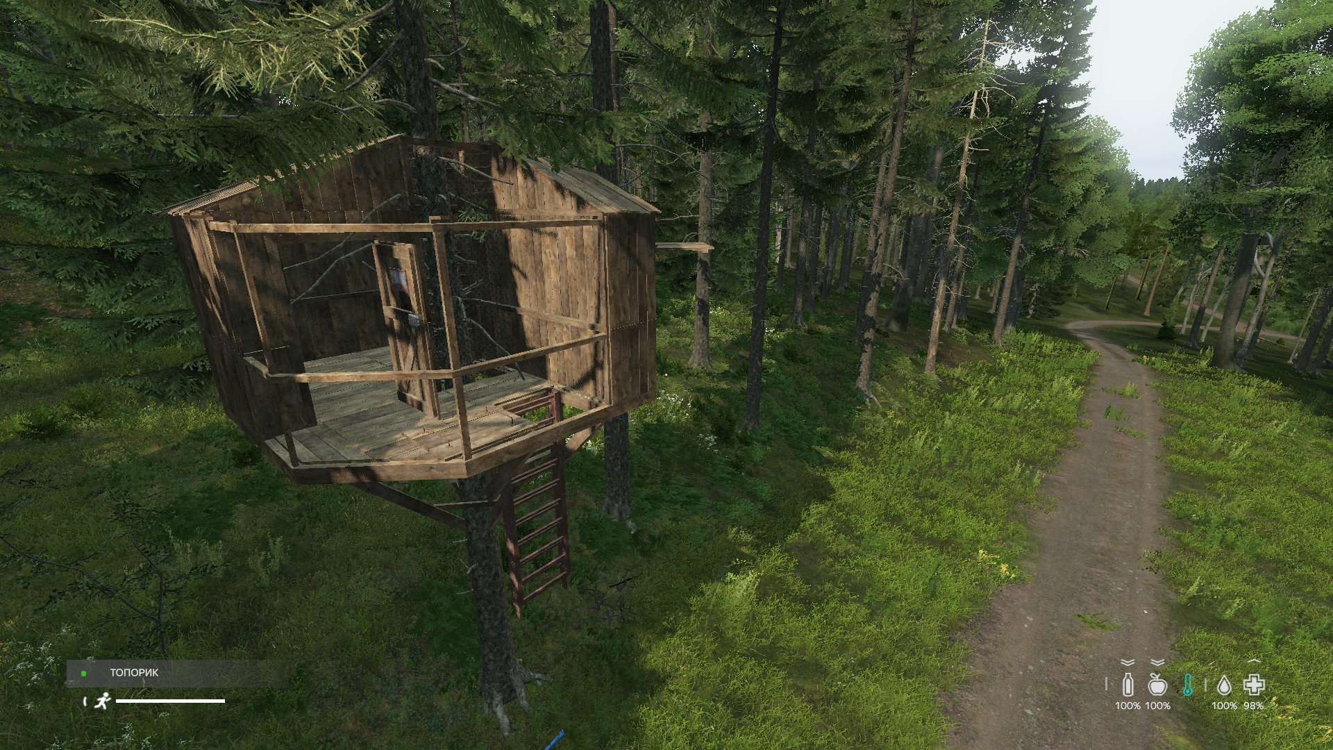 Дом на дереве/Treehome